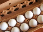 eggs