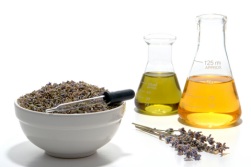 lavender oil