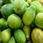 Papaya for Oily Skin Papaya for Oily Skin