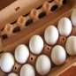 Eggs for Oily Skin