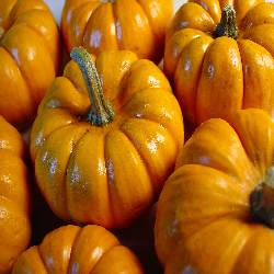 Pumpkin Face Mask